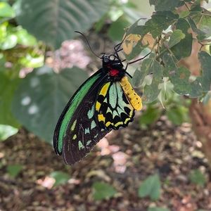 Meet your Posher, Robin